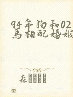 94年狗和02马相配婚姻如何