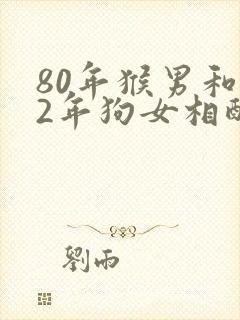 80年猴男和82年狗女相配吗