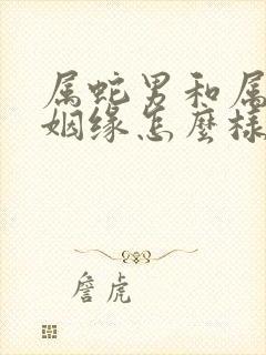 属蛇男和属马女姻缘怎么样