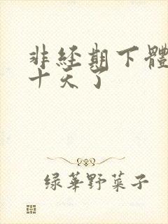 非经期下体出血十天了