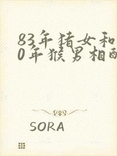 83年猪女和80年猴男相配婚姻如何