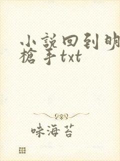 小说回到明朝当枪手txt