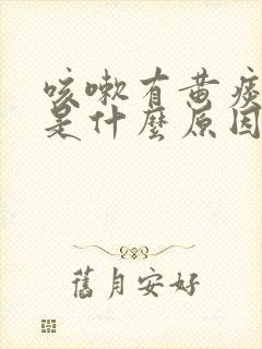 咳嗽有黄痰口苦是什么原因