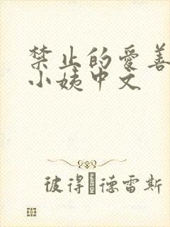 禁止的爱善良的小姨中文封面