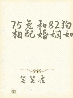 75兔和82狗相配婚姻如何