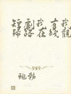 短剧我有我的不归路在线观看