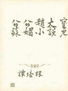 公公赵大宝儿媳苏媚小说免费阅读