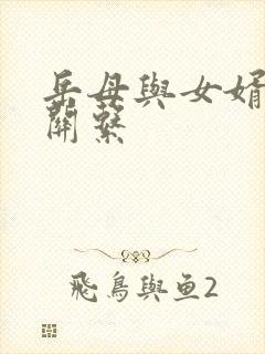 岳母与女婿发生关系