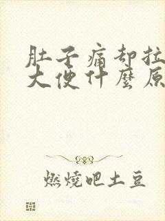 肚子痛却拉不出大便什么原因封面