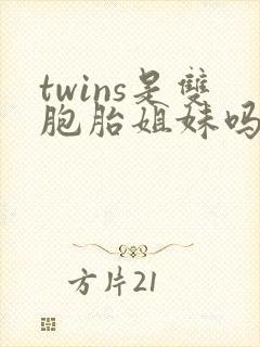 twins是双胞胎姐妹吗