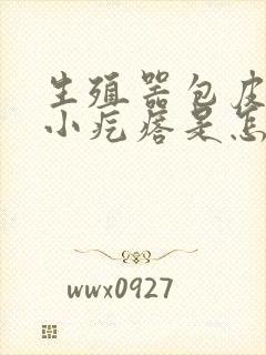 生殖器包皮上有小疙瘩是怎么回事