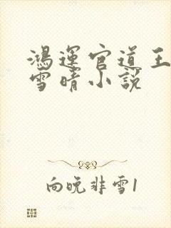 鸿运官道王洋孙雪晴小说