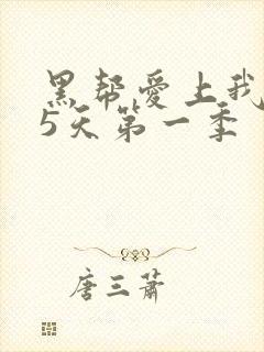 黑帮爱上我365天第一季