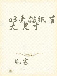 a3素描纸有多大 尺寸