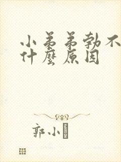 小弟弟勃不起是什么原因封面