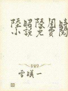 陆昭陵周时阅的小说免费阅读