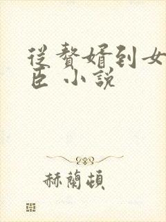 从赘婿到女帝宠臣 小说封面