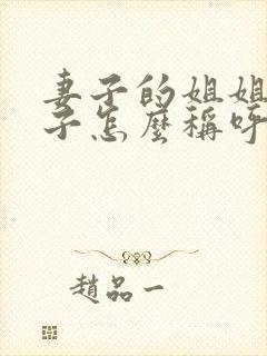 妻子的姐姐的儿子怎么称呼