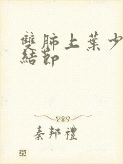 双肺上叶少许小结节封面