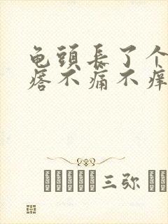 龟头长了个肉疙瘩不痛不痒封面