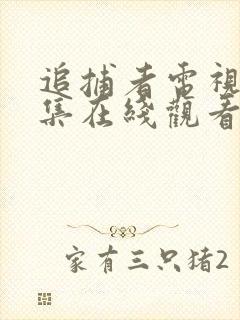 追捕者电视剧全集在线观看免费高清