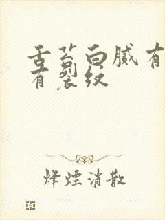 舌苔白腻有齿痕有裂纹