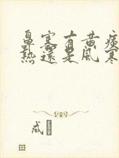 鼻塞有黄痰是风热还是风寒