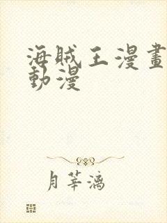 海贼王漫画风之动漫