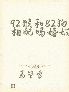 92猴和82狗相配吗婚姻