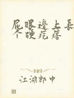 屁眼边上长了一个硬疙瘩封面