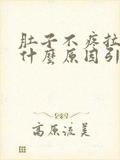 肚子不疼拉稀是什么原因引起的