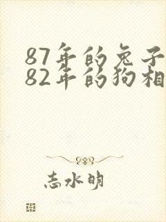 87年的兔子和82年的狗相配吗