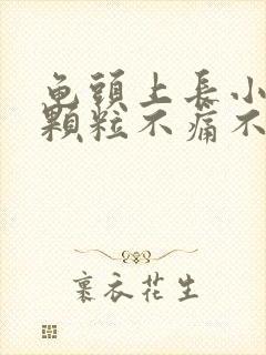 龟头上长小白色颗粒不痛不痒