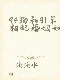 94狗和91羊相配婚姻如何