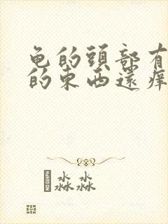 龟的头部有白色的东西还痒怎么办