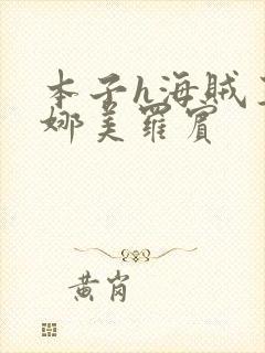 本子h海贼王h娜美罗宾封面