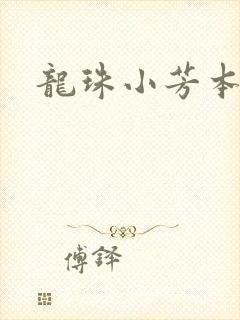 龙珠小芳本子