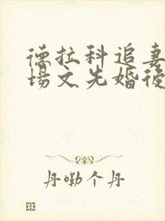 德拉科追妻火葬场文先婚后爱封面