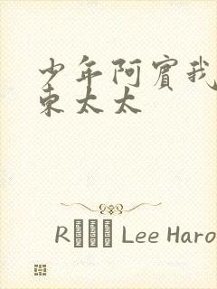 少年阿宾我的房东太太