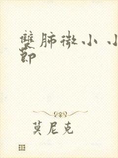 双肺微小 小结节