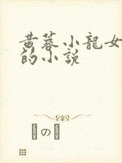 黄蓉小龙女题材的小说