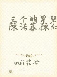 三个明星儿媳,陈法蓉,陈红的小说