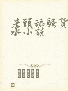 老头舔骚货逼流水小说封面