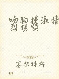 吻胸摸激情床激烈视频