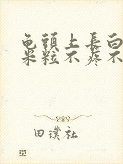 龟头上长白色小米粒不疼不痒