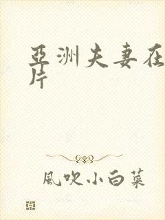 亚洲夫妻在线毛片