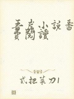 吾岸小说番外免费阅读