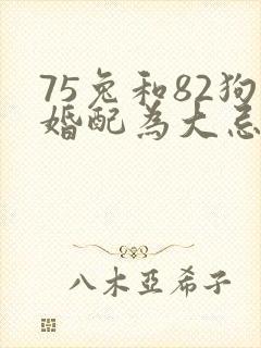 75兔和82狗婚配为大忌