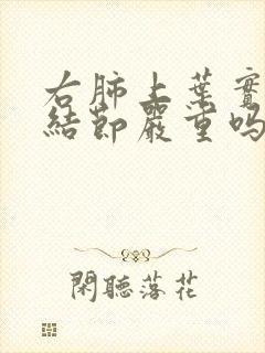 右肺上叶实性微结节严重吗