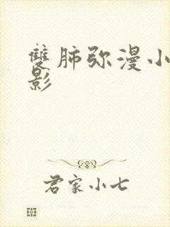 双肺弥漫小结节影封面